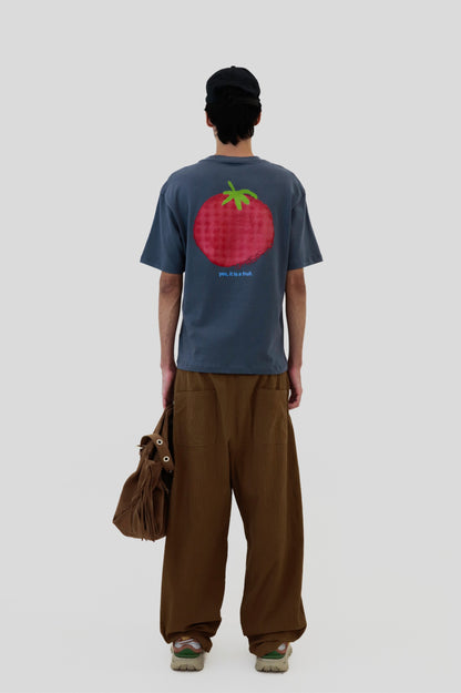 TOMATO IS A FRUIT