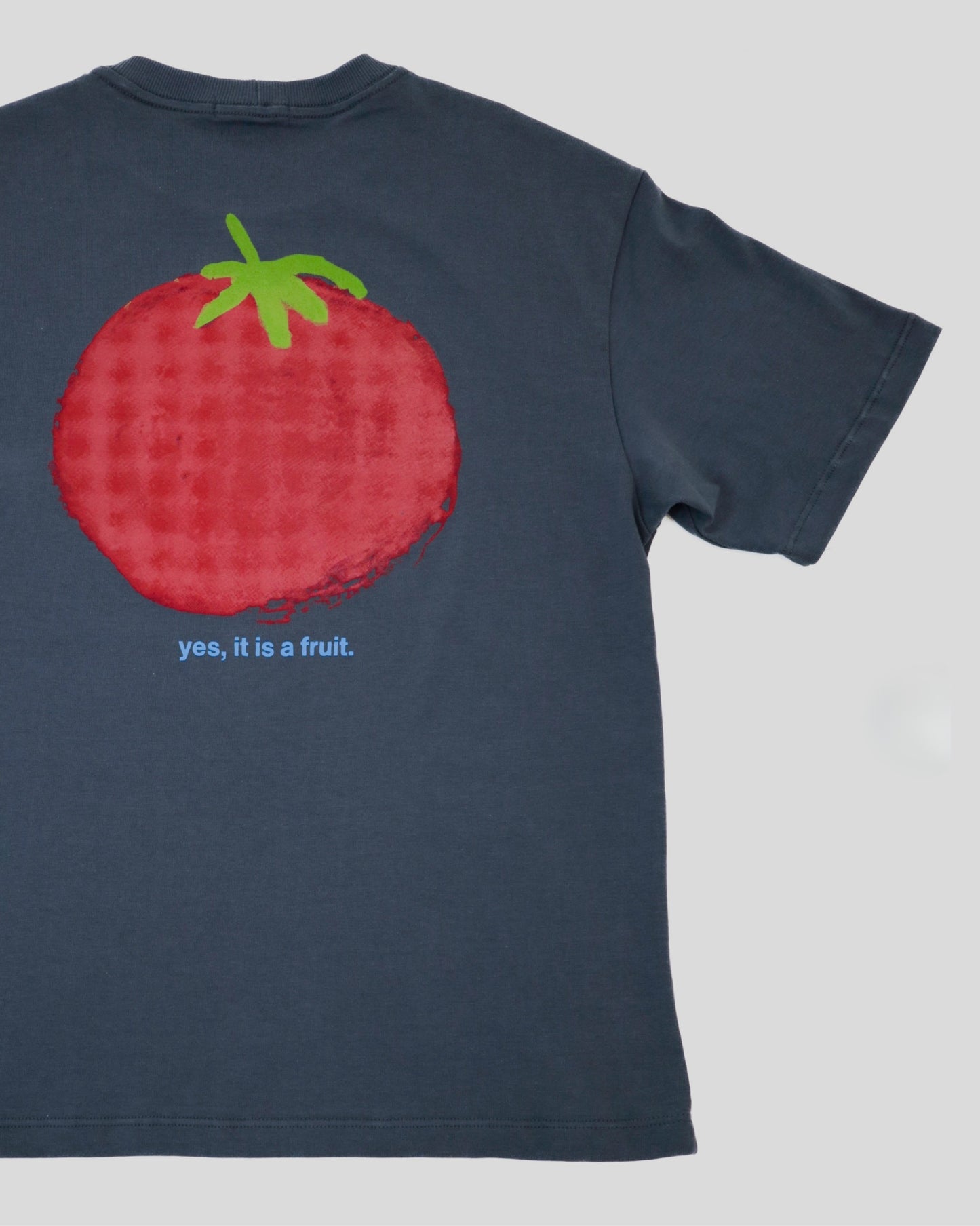 TOMATO IS A FRUIT