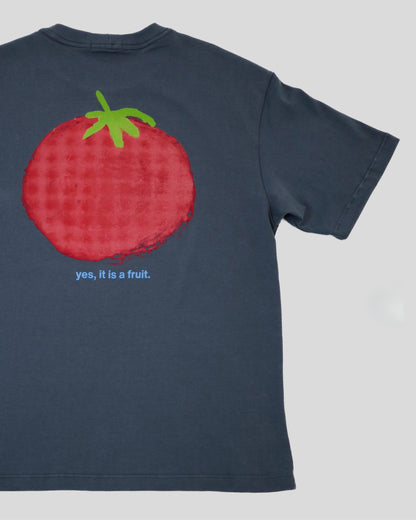 TOMATO IS A FRUIT